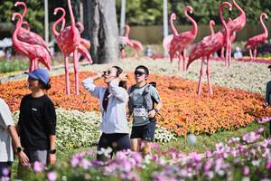 BIB: 
                            <button type="button" onclick="openModal(27793424)" class="btn btn-primary btn-sm float-right btn-popup" data-toggle="modal" data-target=".modal-high-quality">
                        <i class="fas fa-shopping-cart"></i> Add to Cart
                    </button>
                                            <button type="button" onclick="isThisMe(27793424, true)" class="btn btn-success btn-sm float-right btn-popup btn-isme hidden" data-toggle="tooltip" data-placement="bottom" title="นี่คือรูปของคุณใช่ไหม คลิกที่นี่เพื่อเอาเข้าอัลบั้ม">
                        <i class="fas fa-plus"></i> Add to album
                    </button>
                    <button type="button" onclick="isThisMe(27793424, false)" class="btn btn-warning btn-sm float-right btn-popup btn-isnotme hidden">
                        <i class="fas fa-ban"></i> Remove from album
                    </button>